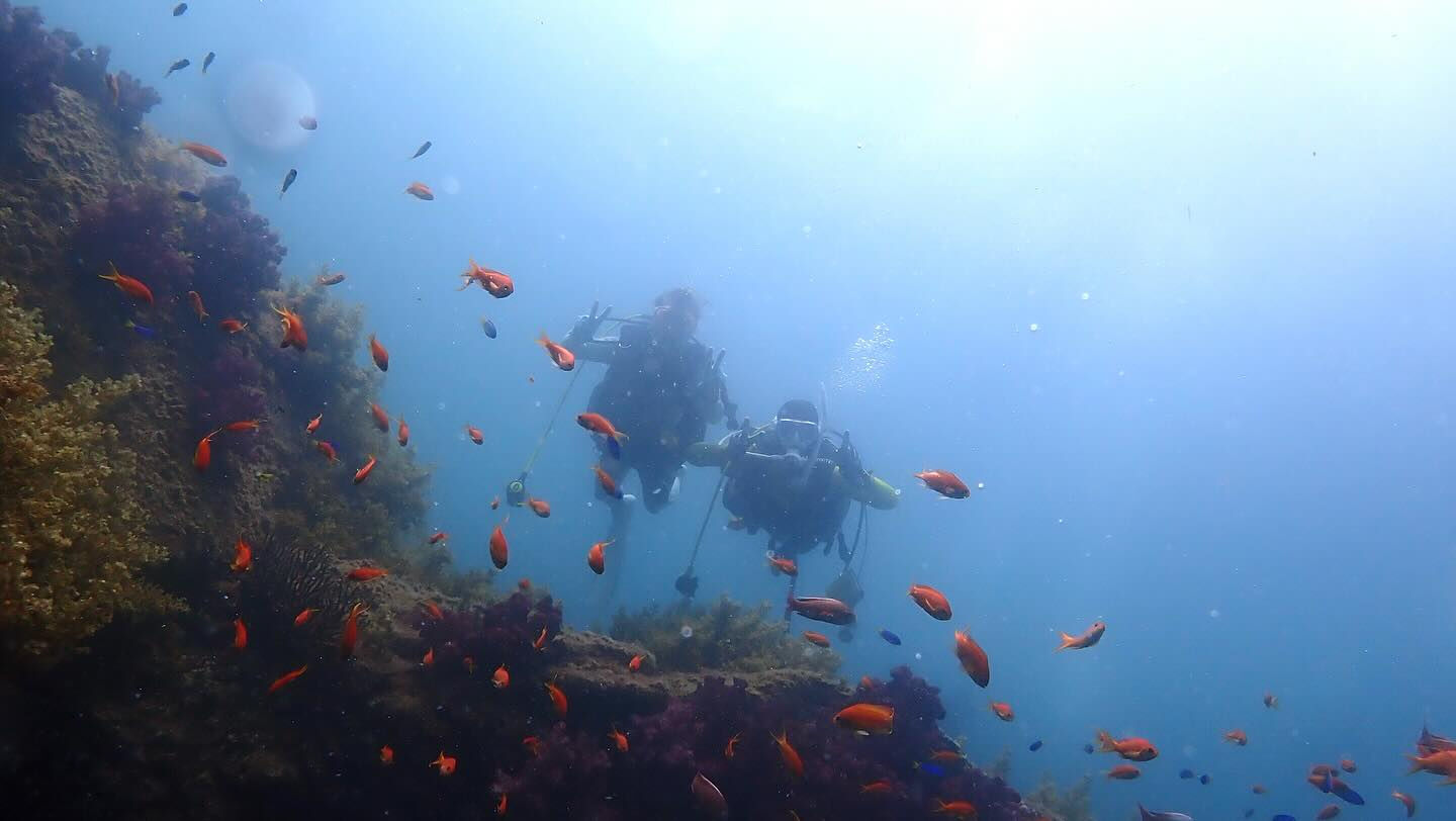 @rk.diving