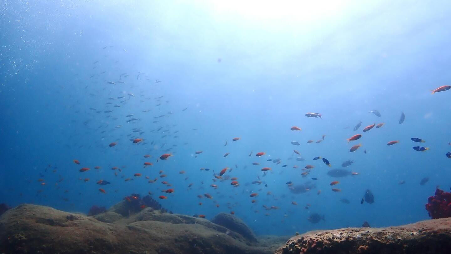 @rk.diving