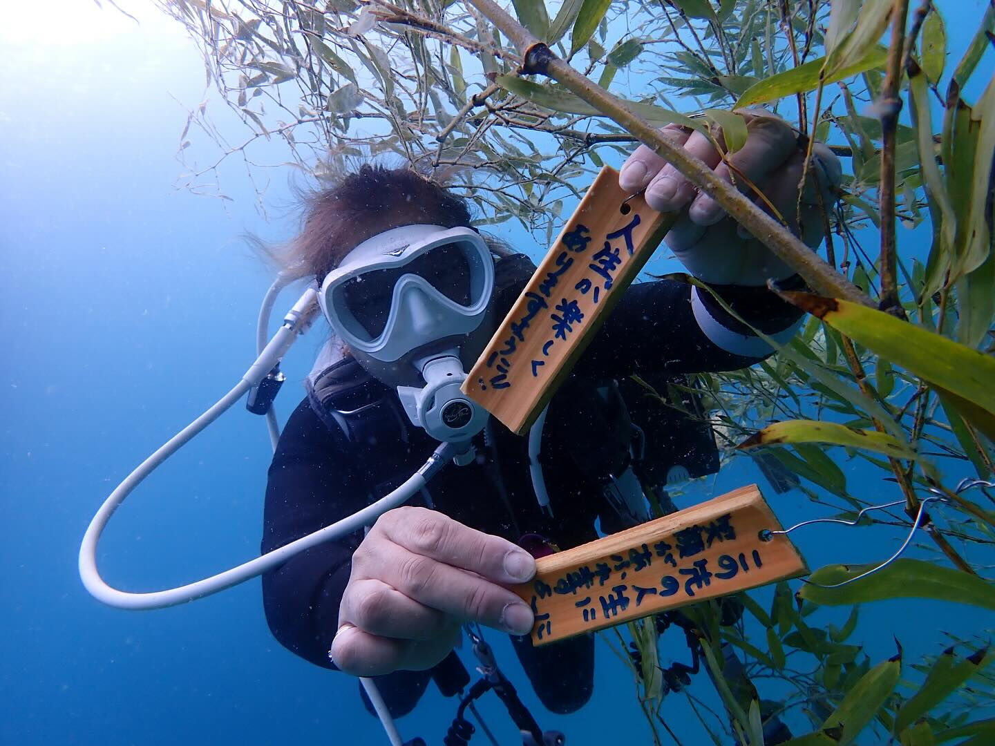 @rk.diving