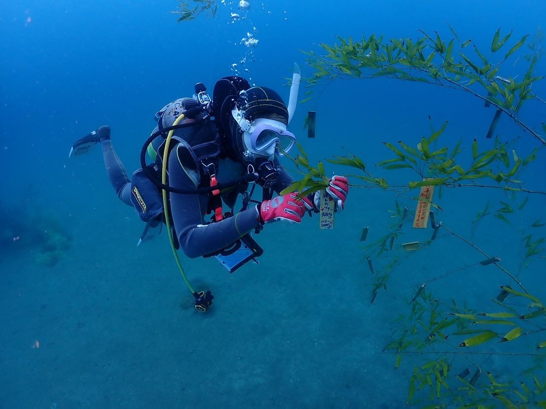 @rk.diving