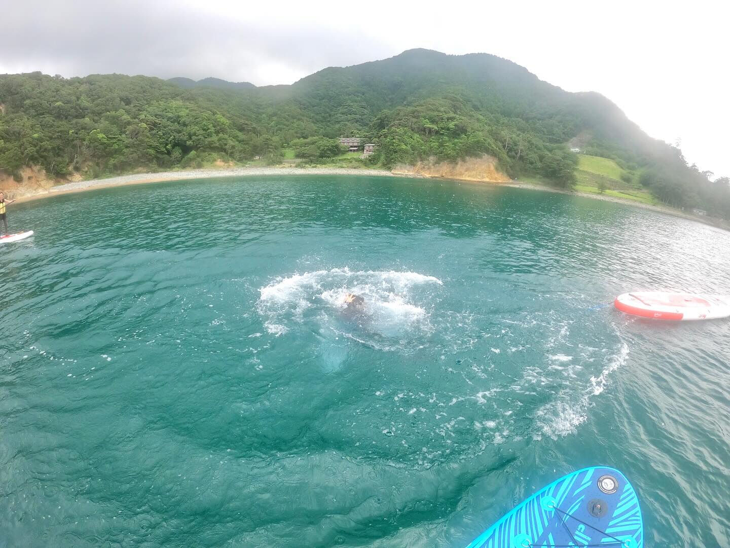 @rk.diving