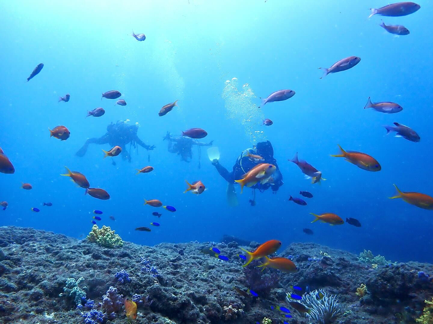 @rk.diving