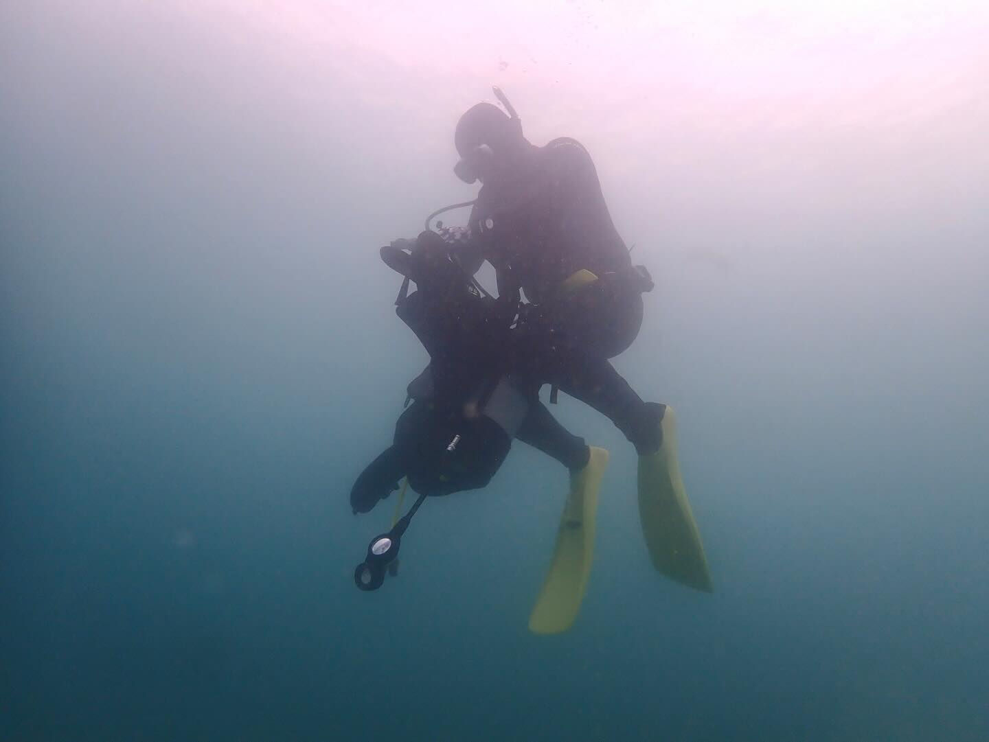 @rk.diving