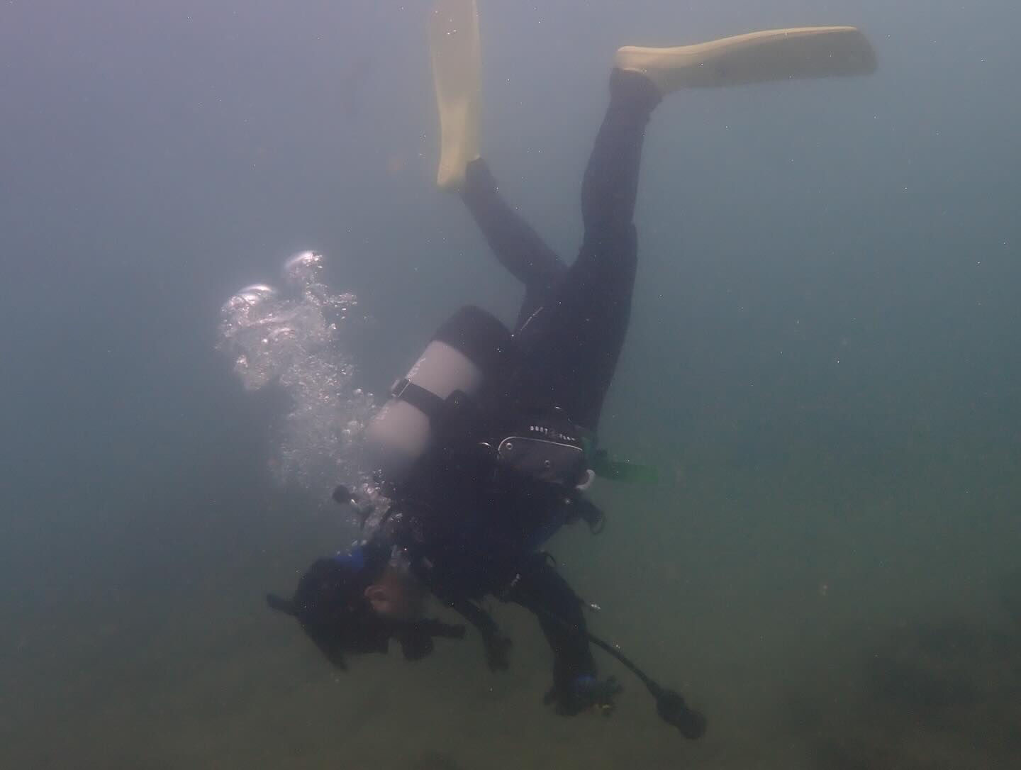@rk.diving
