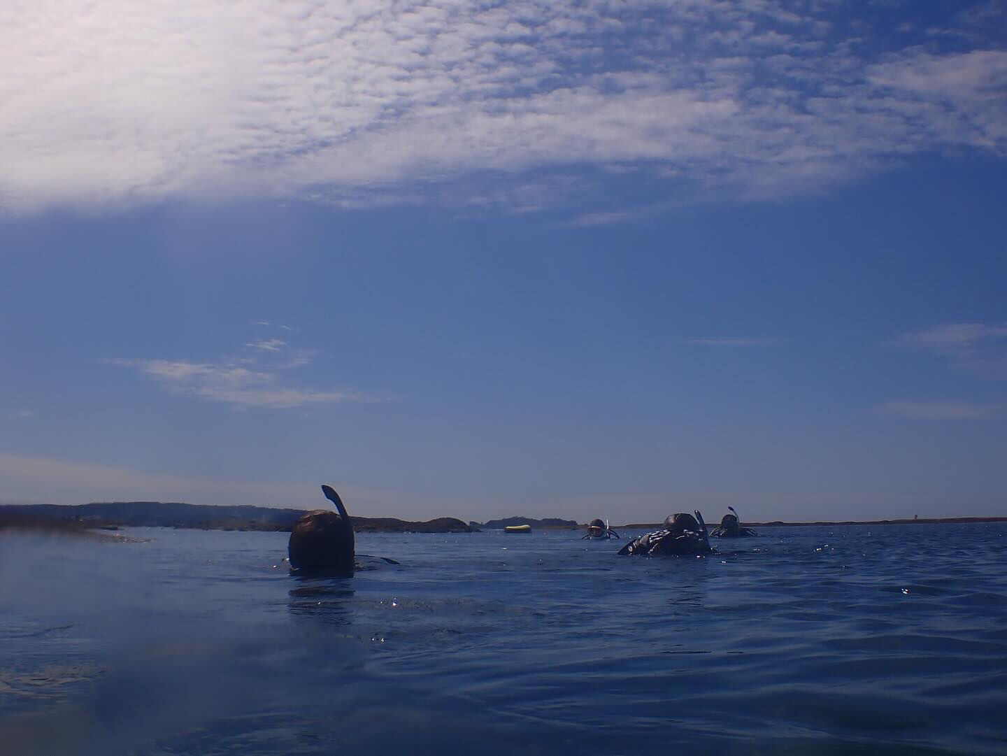 @rk.diving