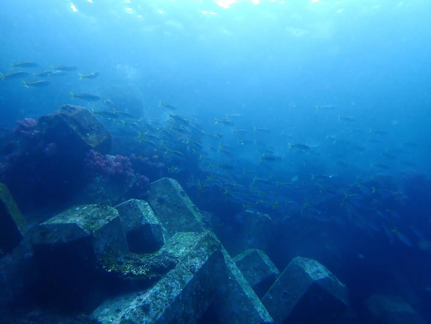@rk.diving 