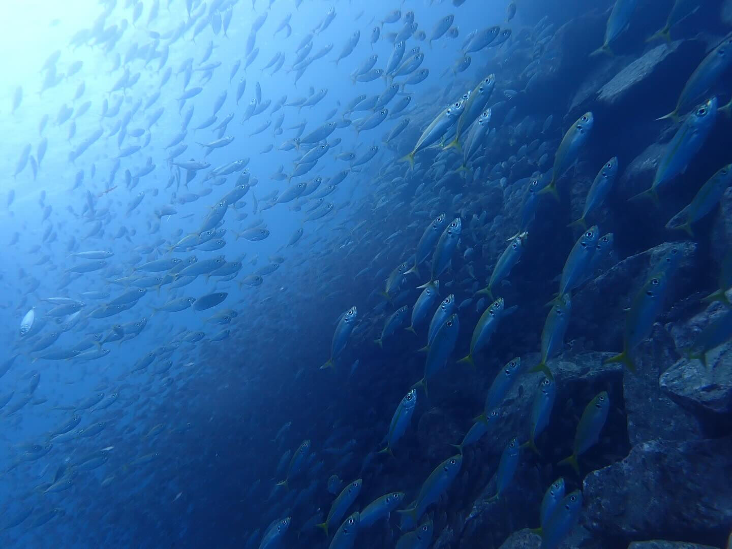 @rk.diving 