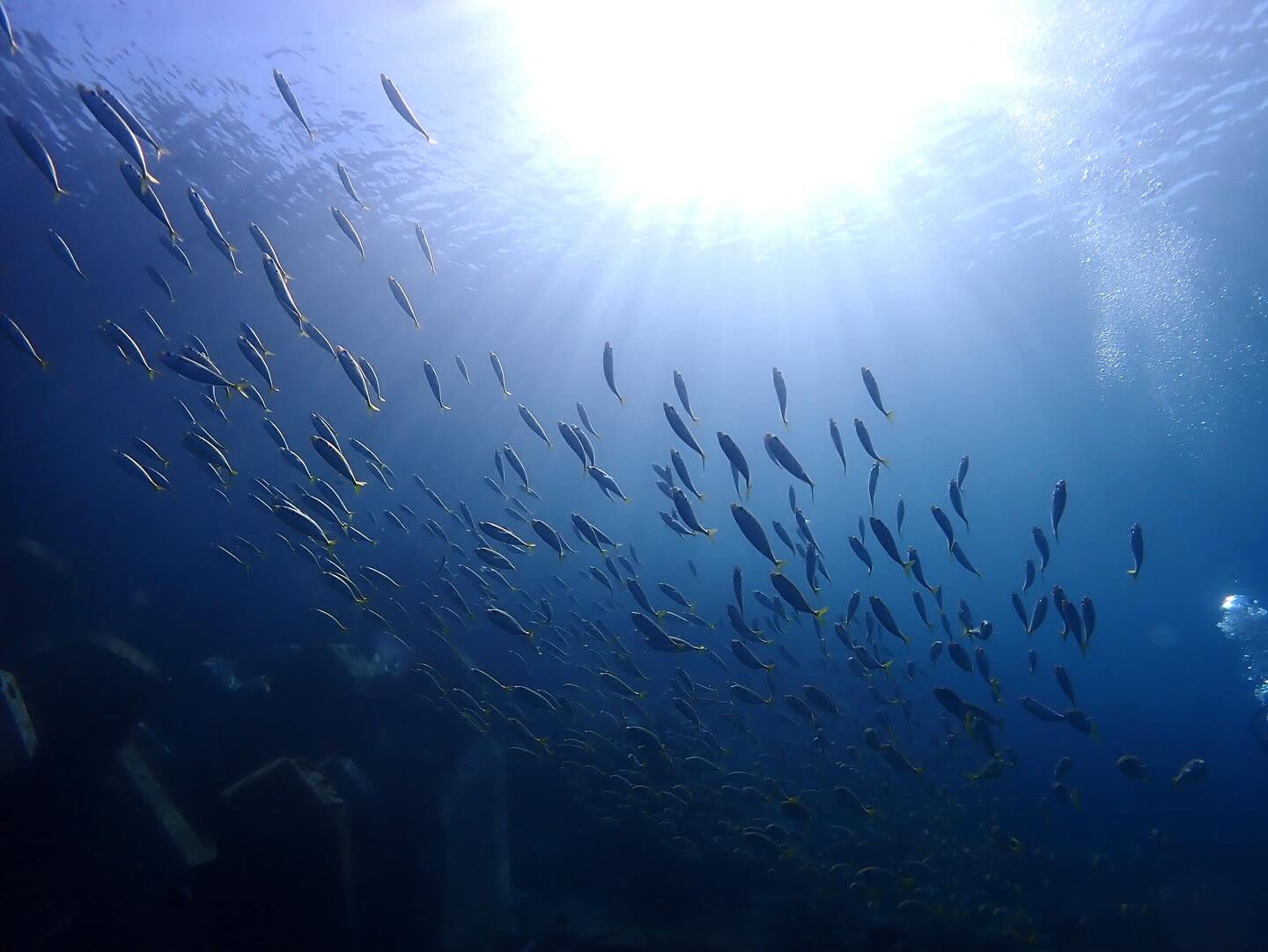 @rk.diving 