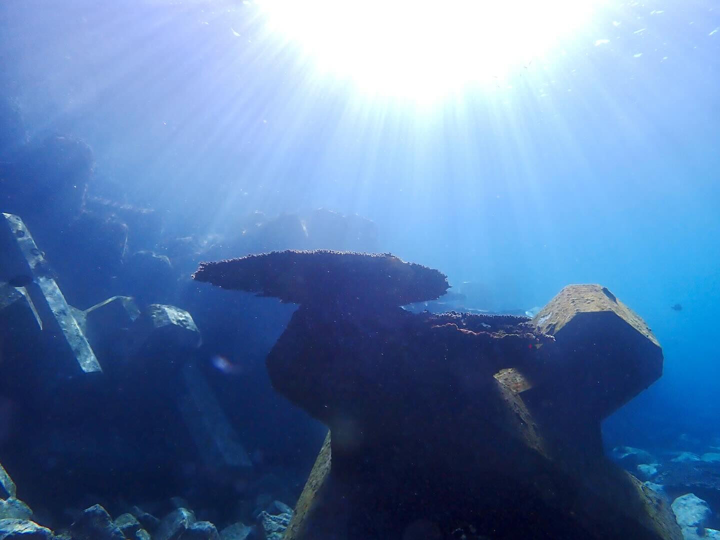 @rk.diving 