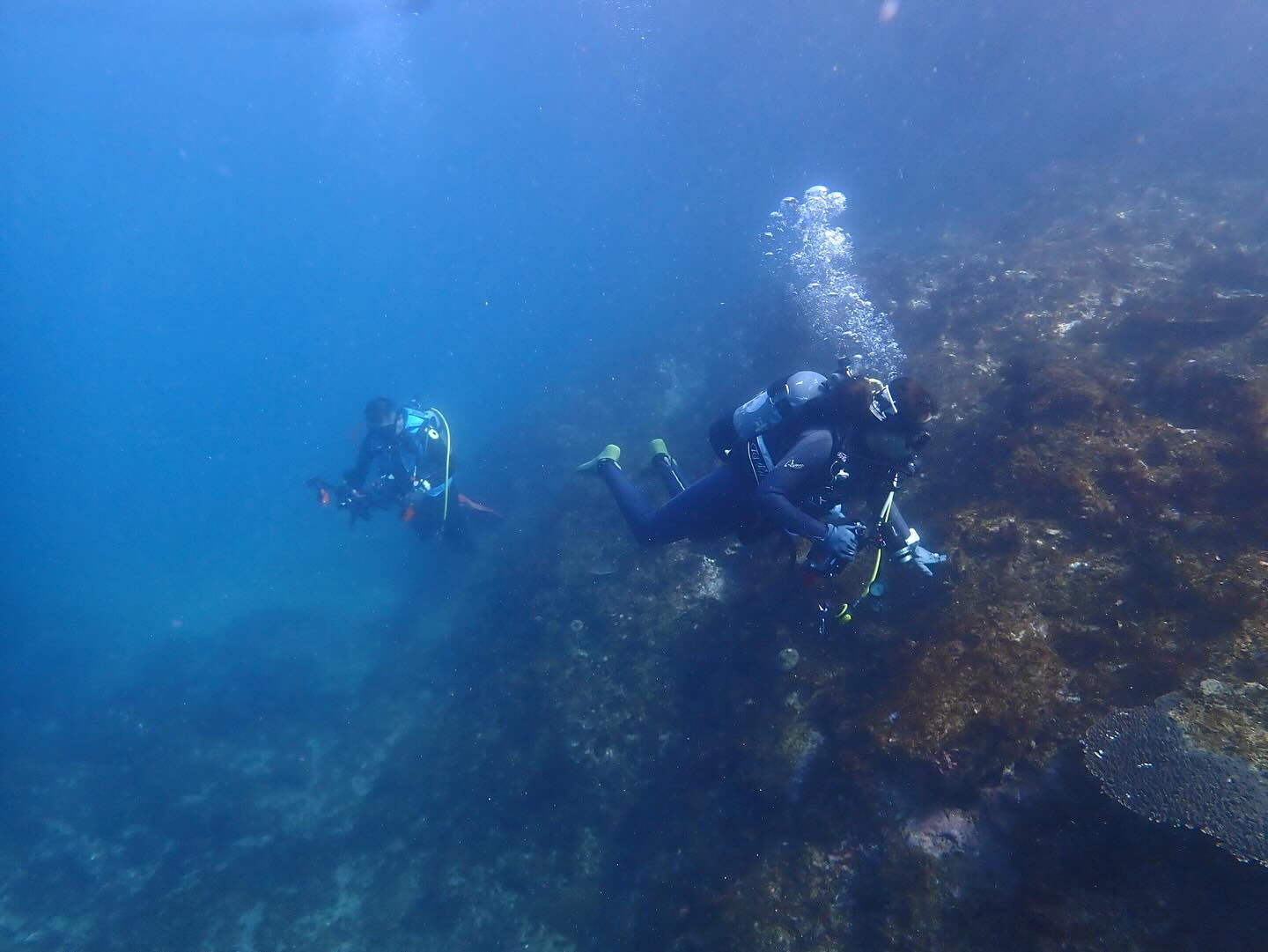 @rk.diving 
