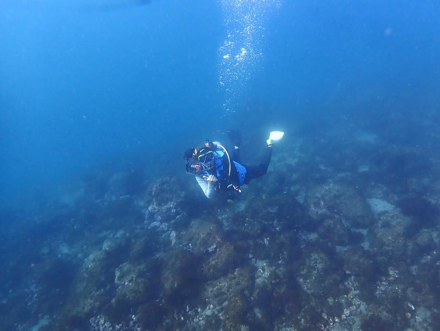 @rk.diving 