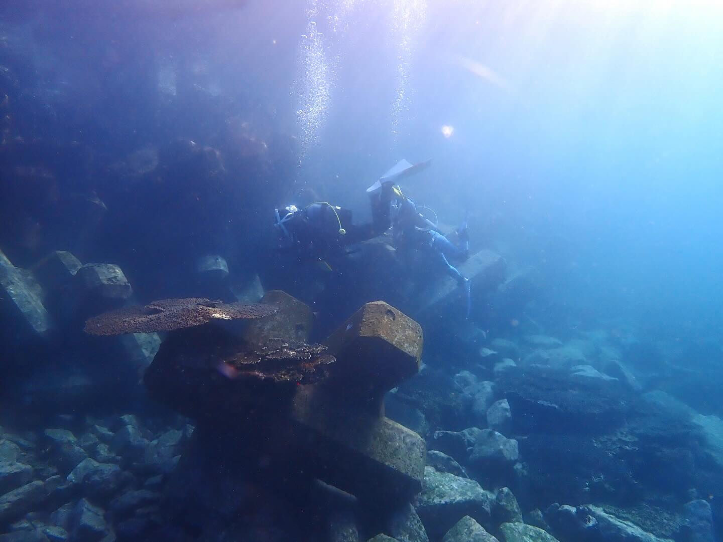 @rk.diving 