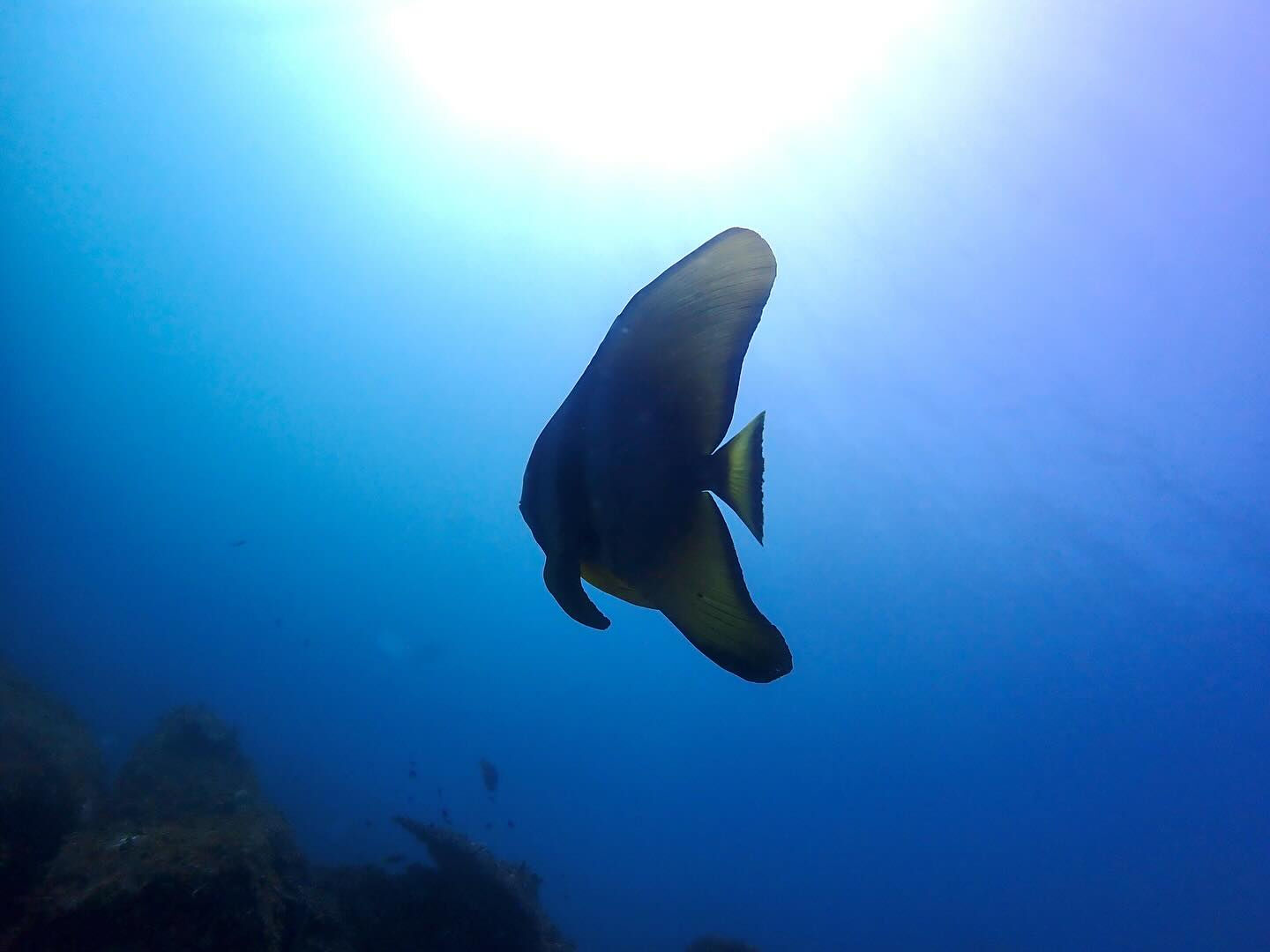 @rk.diving 