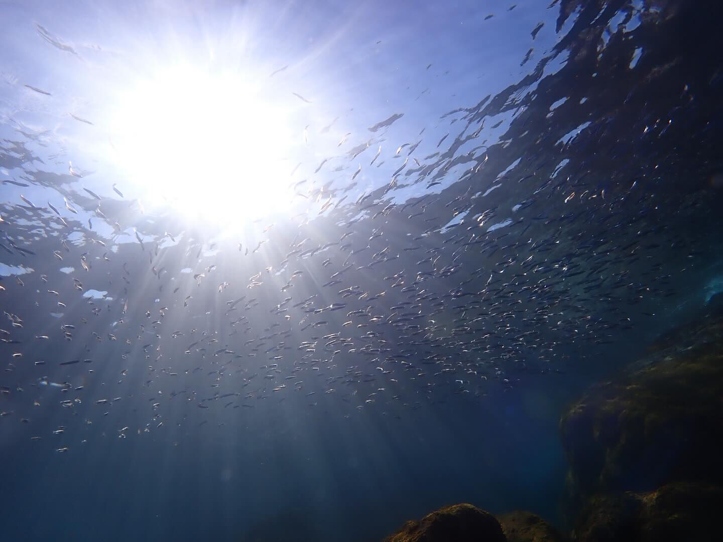 @rk.diving 