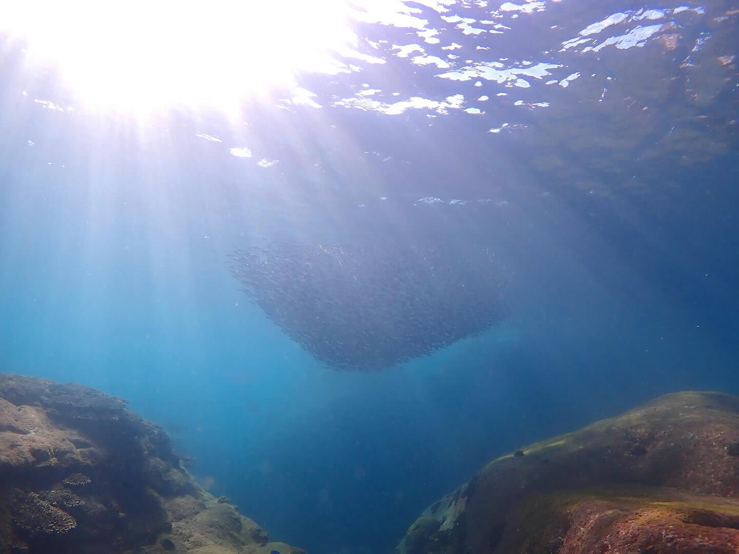 @rk.diving 