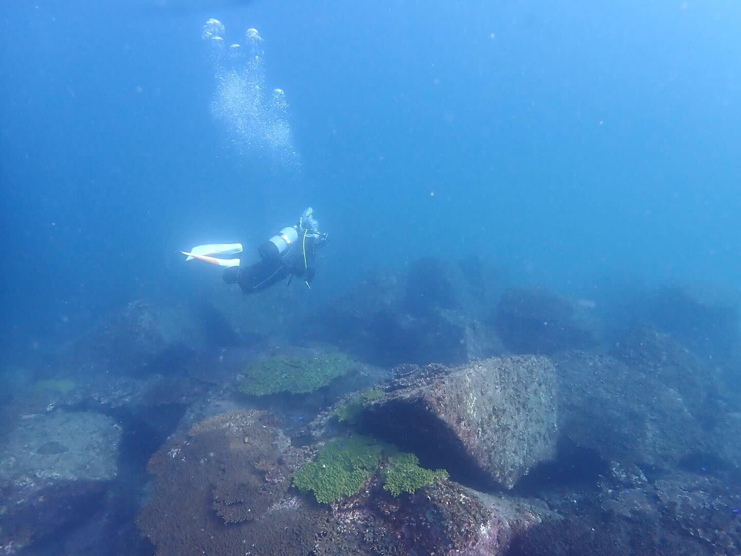 @rk.diving 
