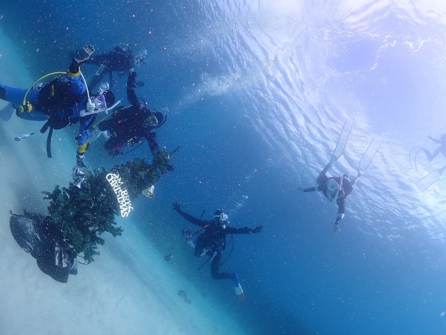 ツアー８.jp