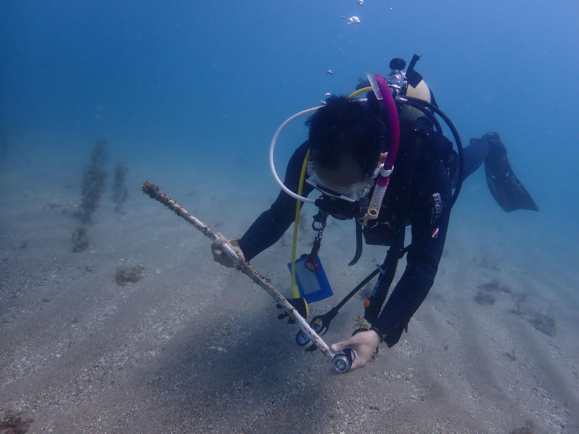 @rk.diving 