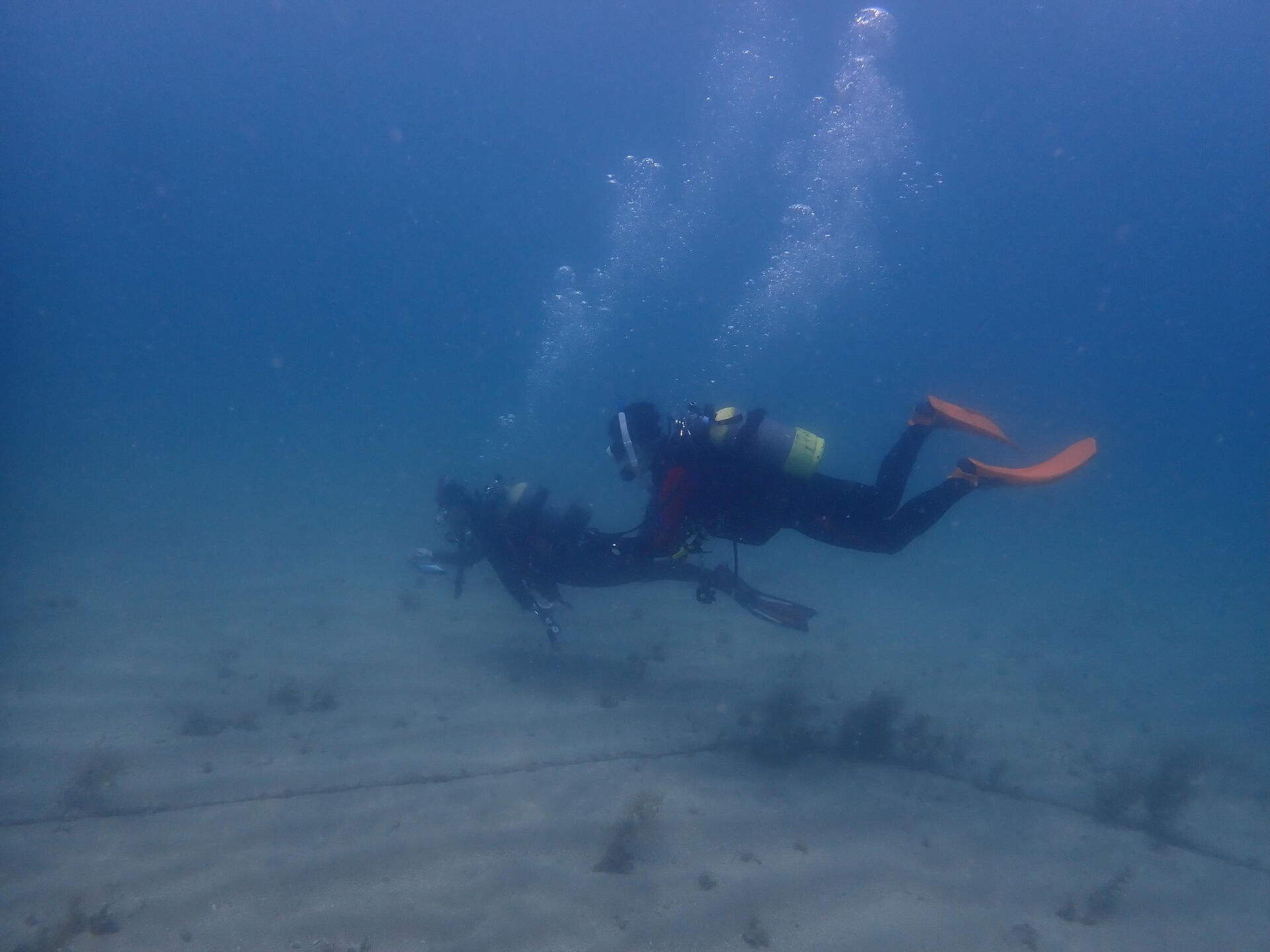 @rk.diving 