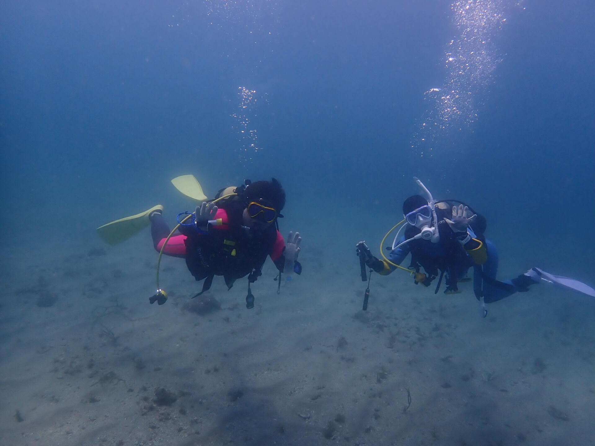 @rk.diving 