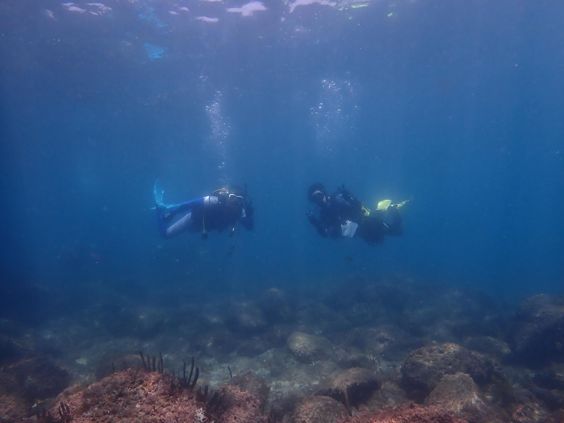 @rk.diving 