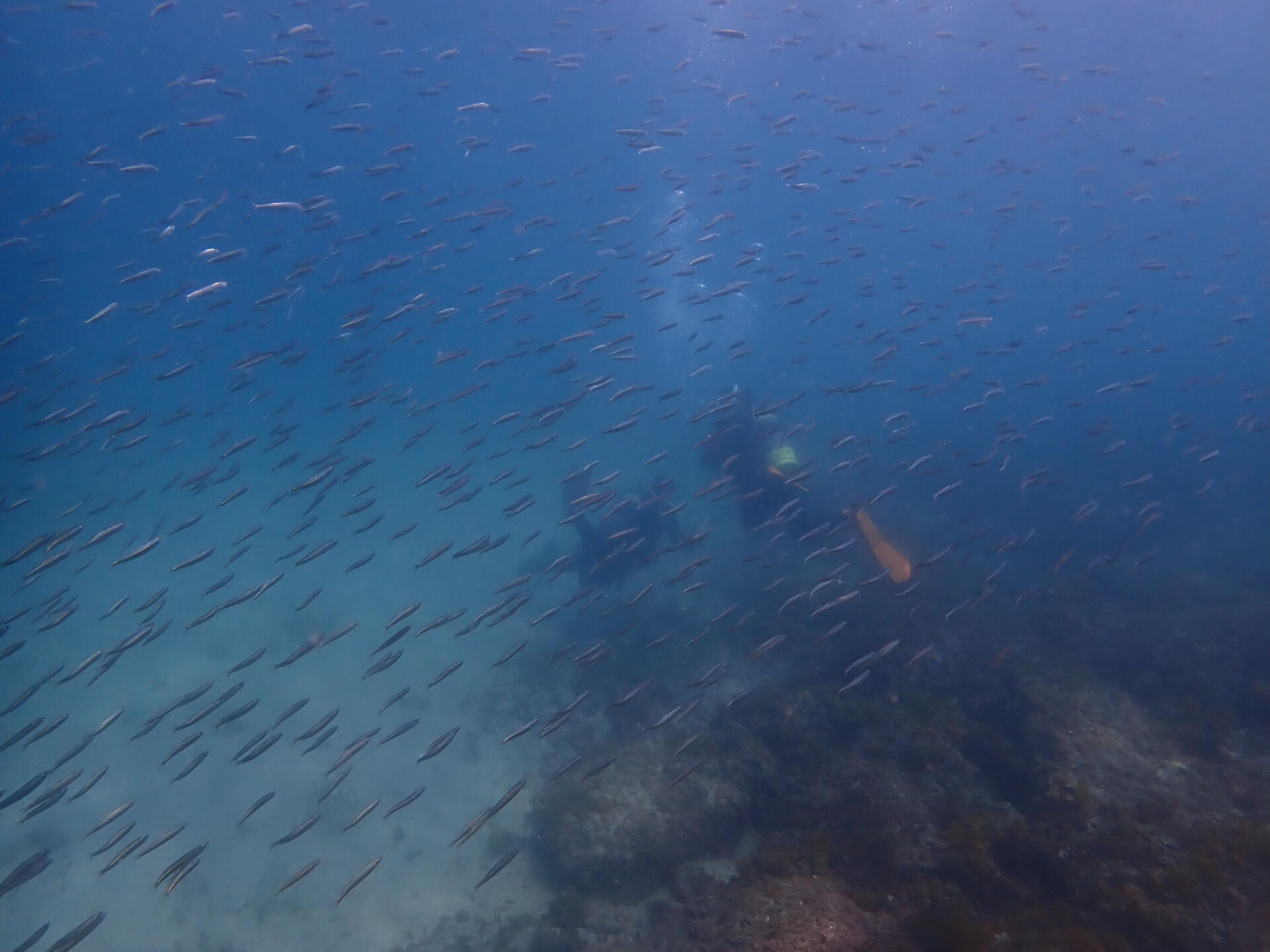 @rk.diving 
