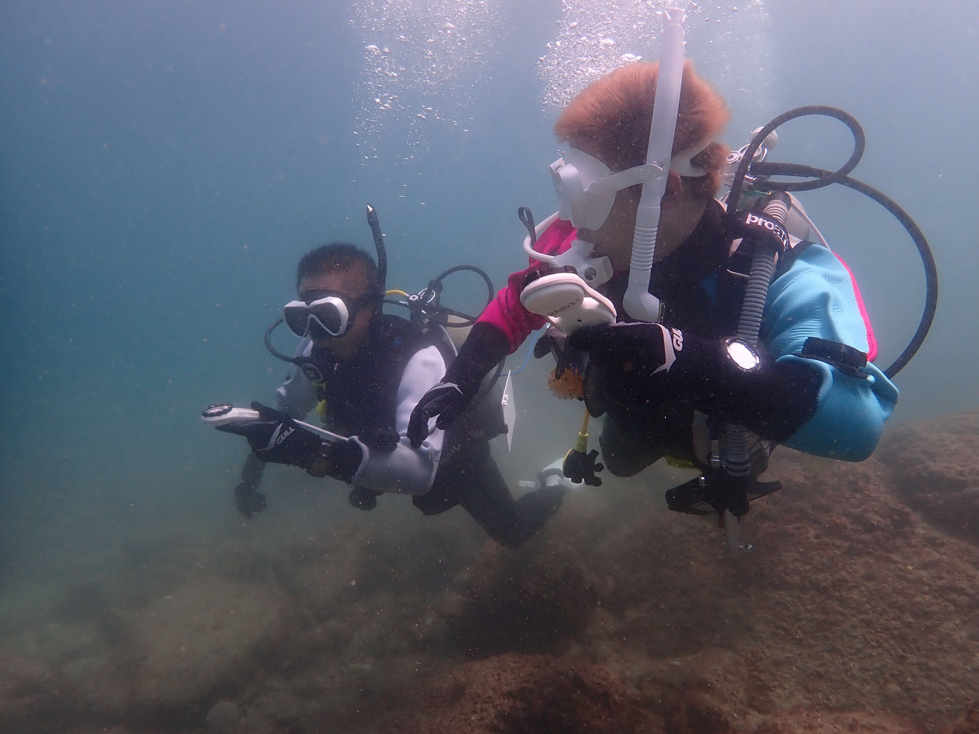 @rk.diving 