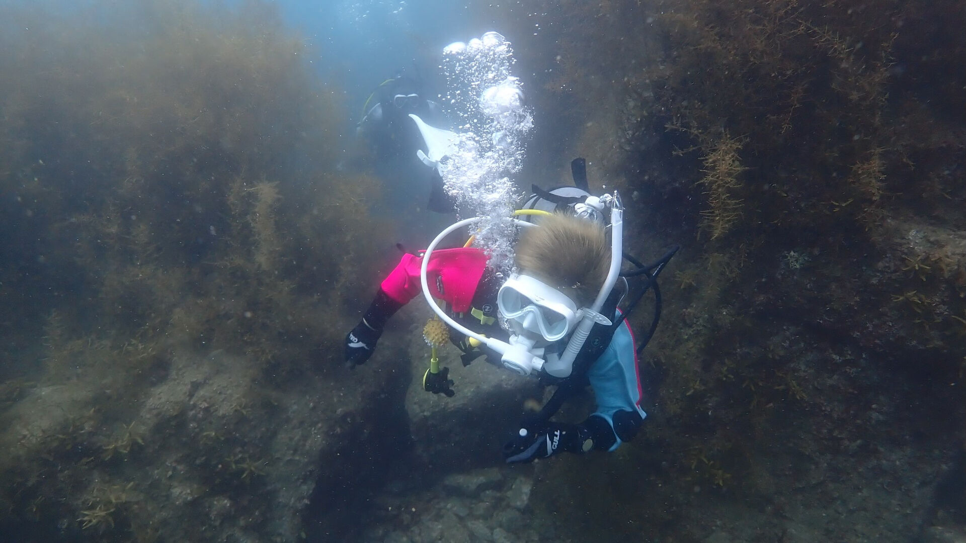 @rk.diving 