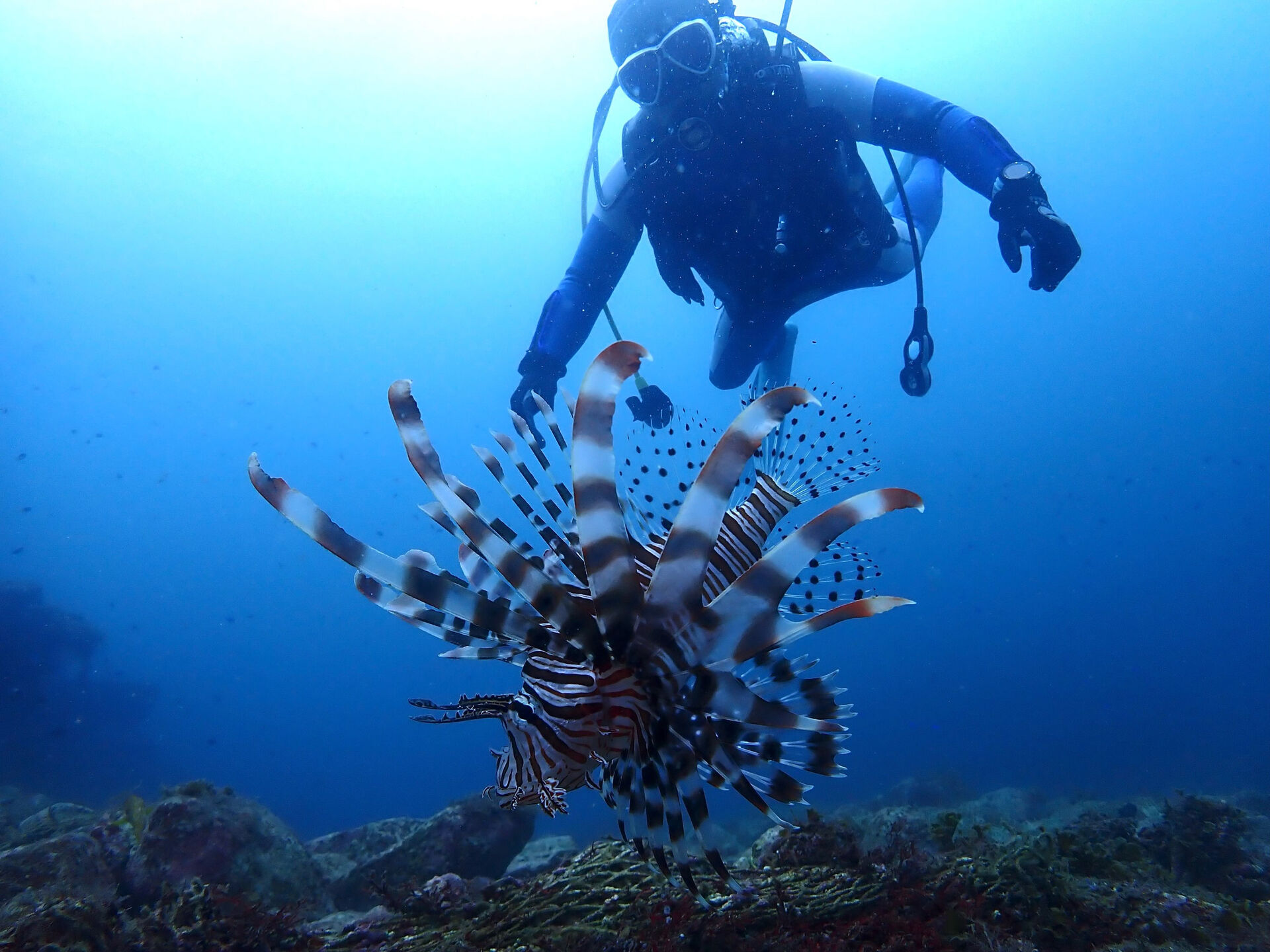 @rk.diving 