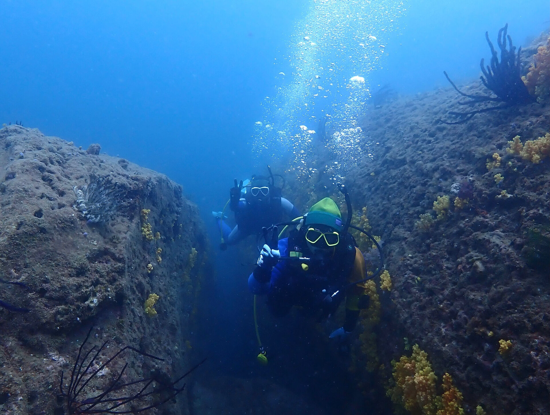 @rk.diving 