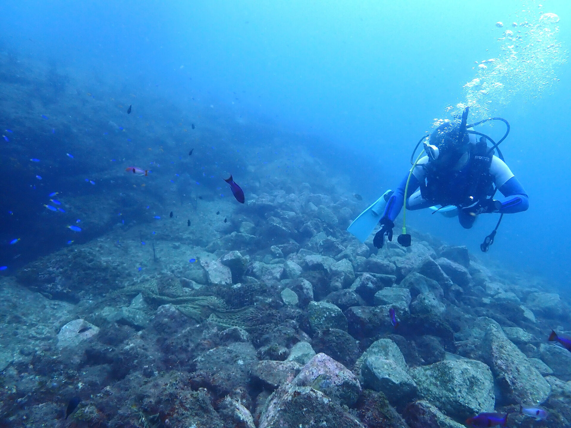 @rk.diving 