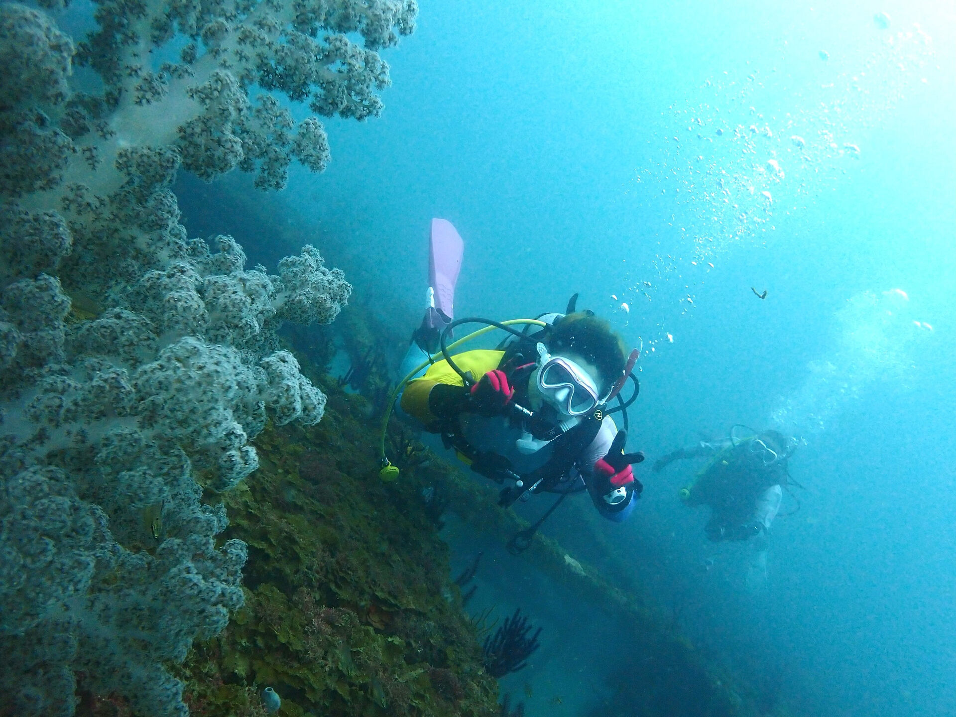 @rk.diving 