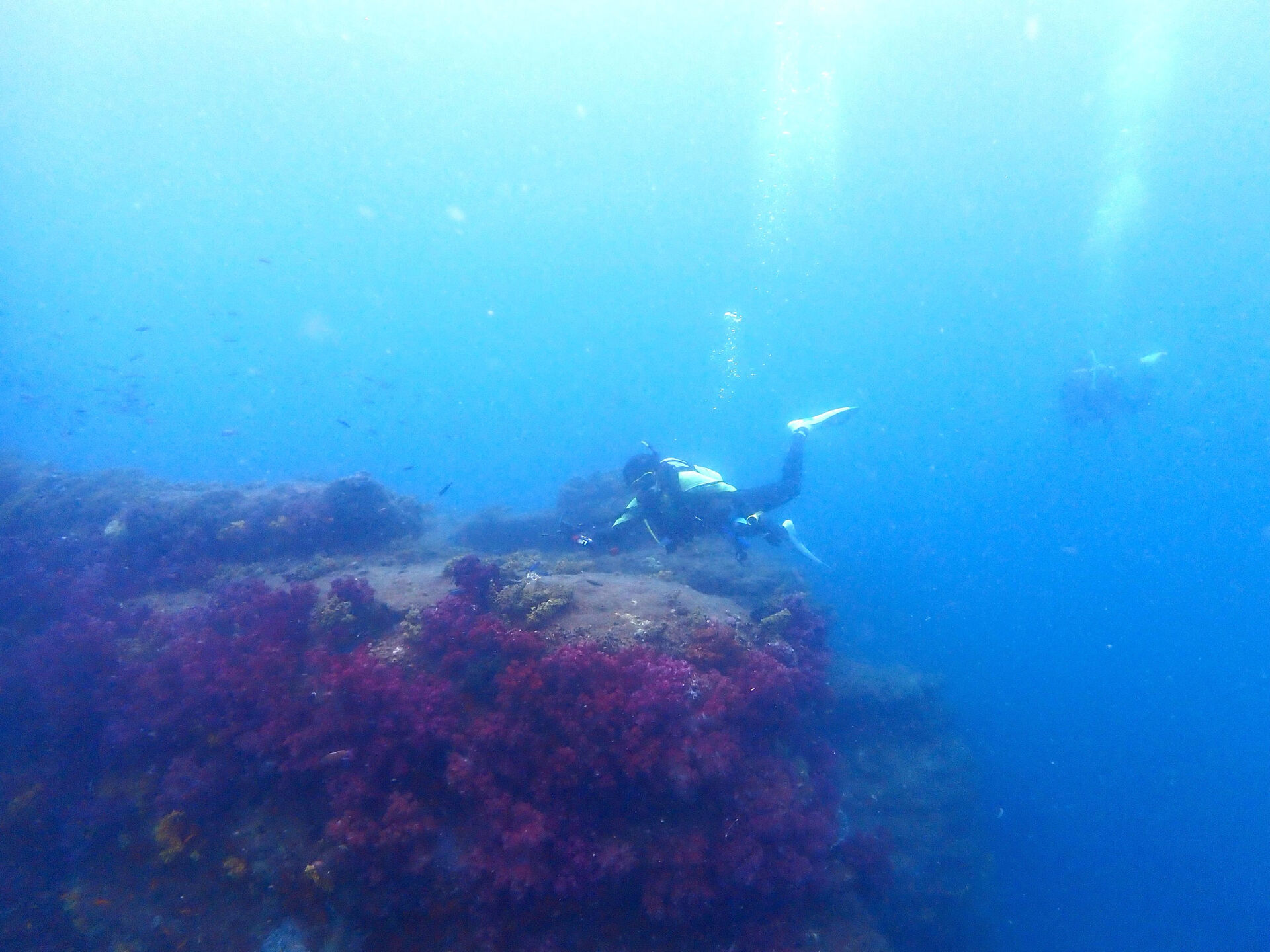 @rk.diving 