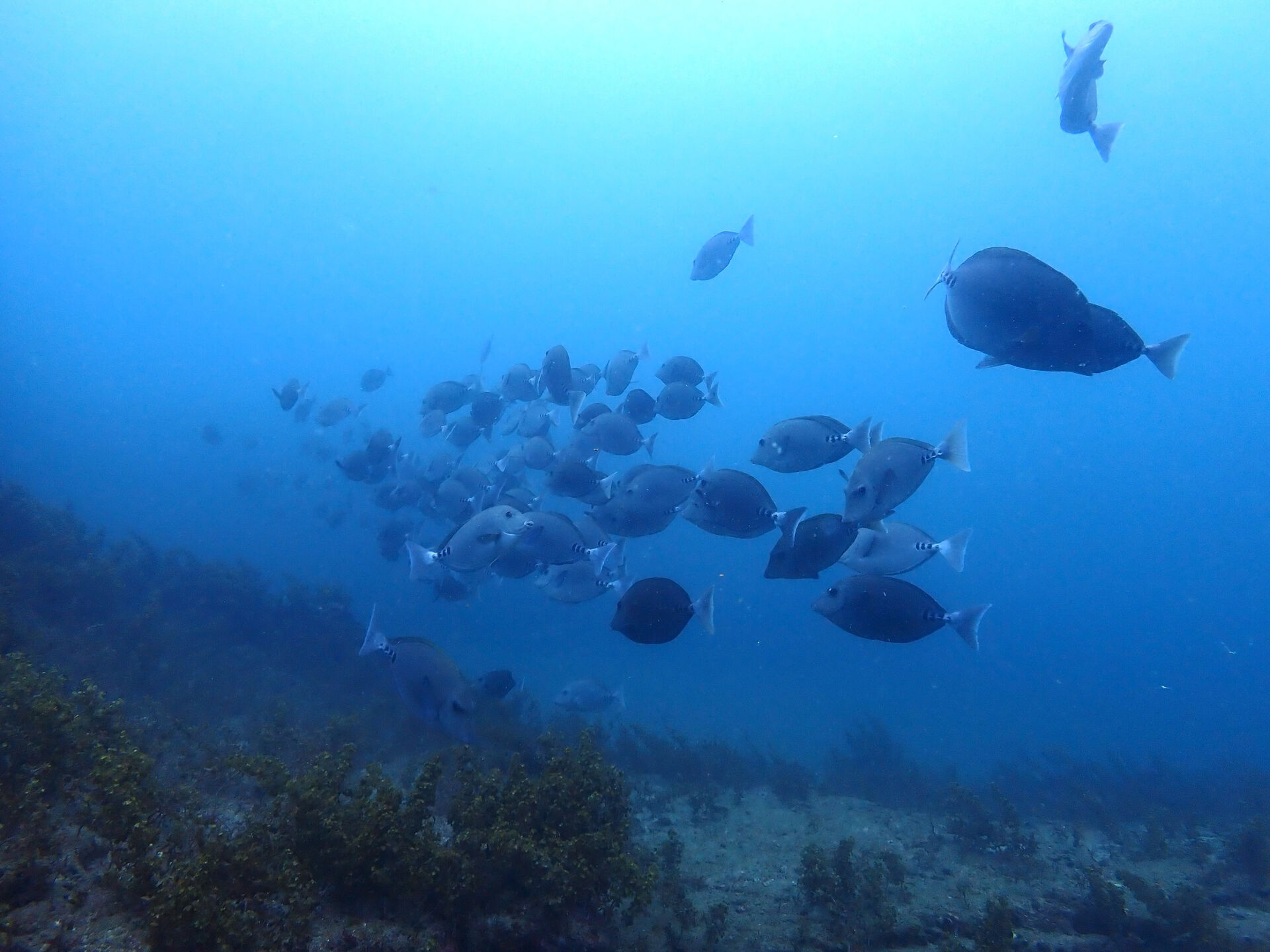 @rk.diving 