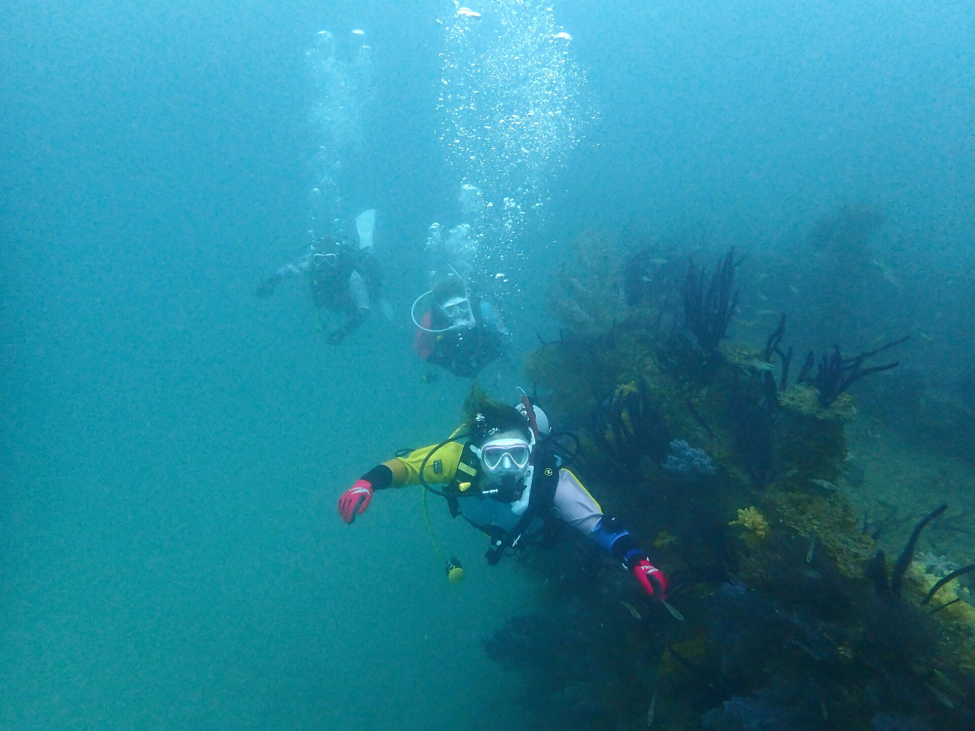 @rk.diving 