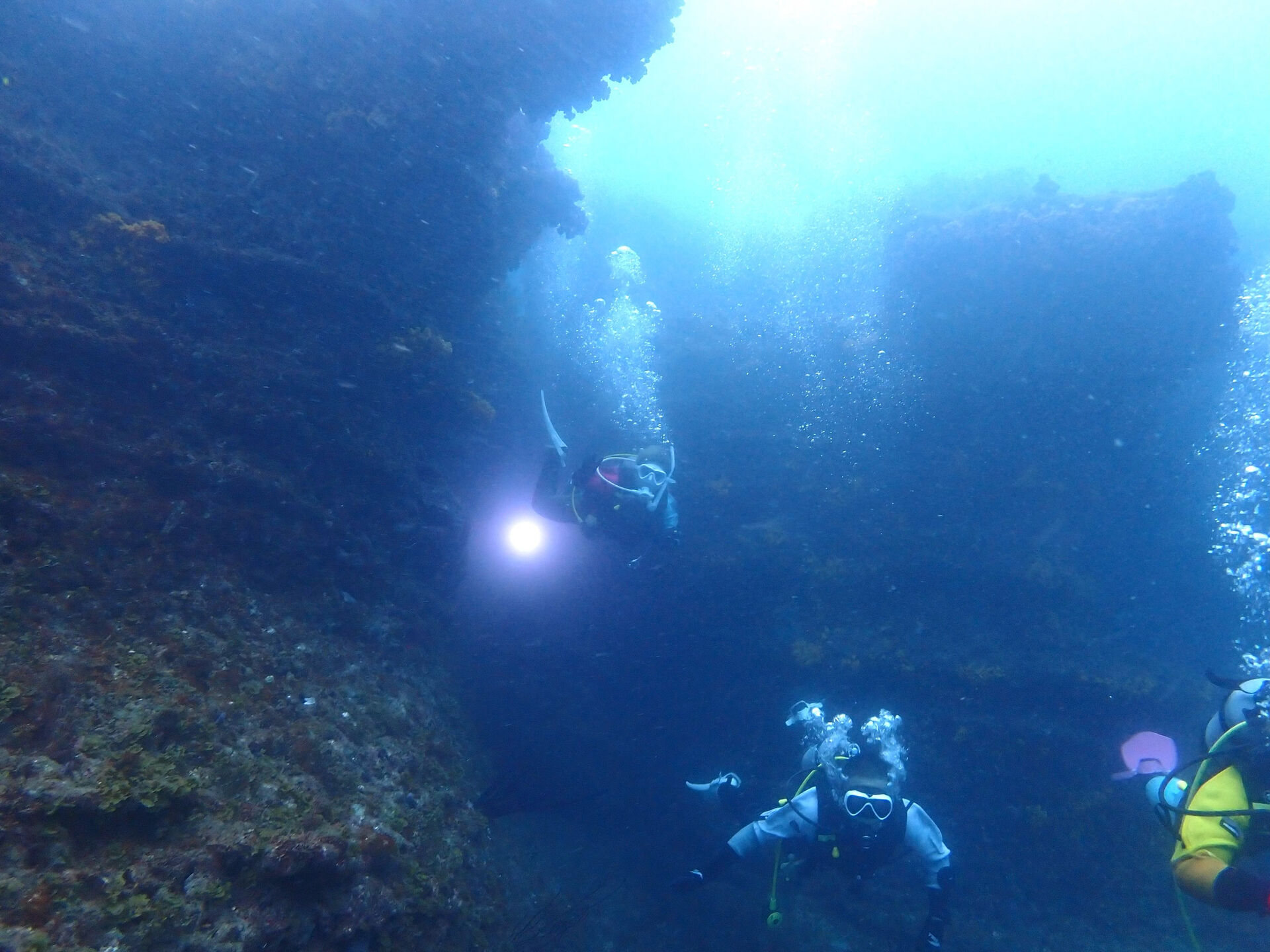 @rk.diving 