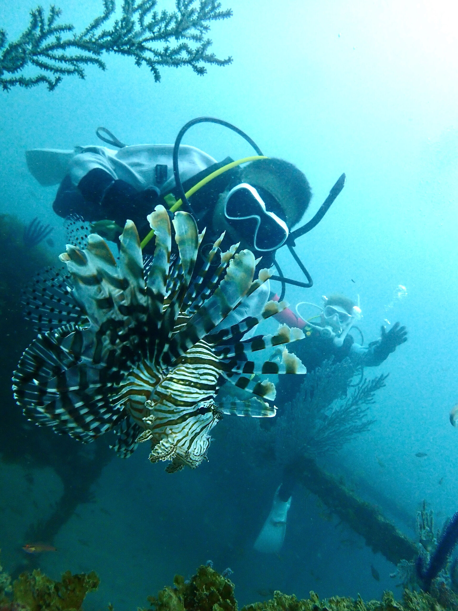 @rk.diving 