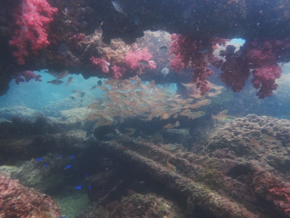 @rk.diving 