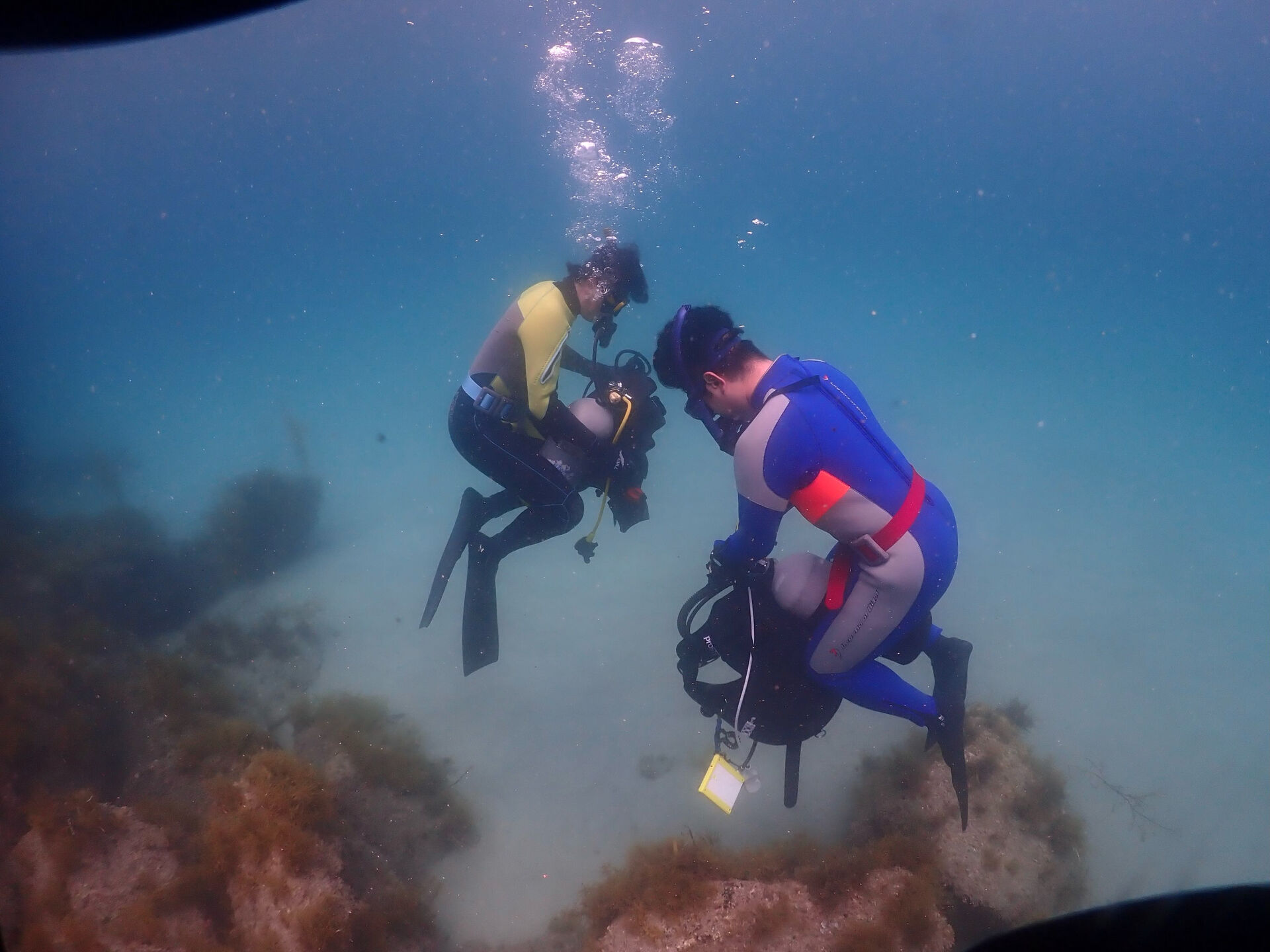 @rk.diving 