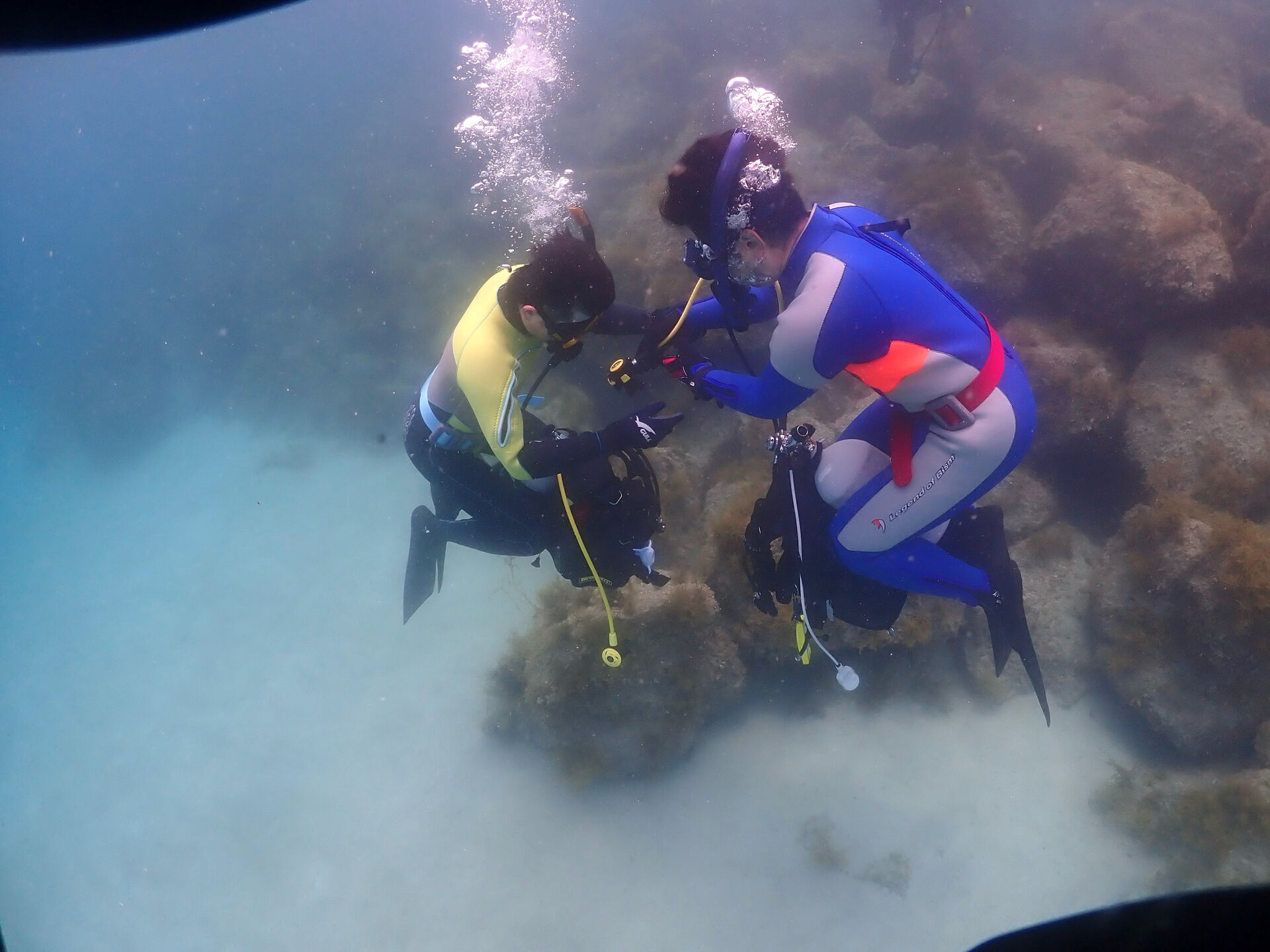 @rk.diving 