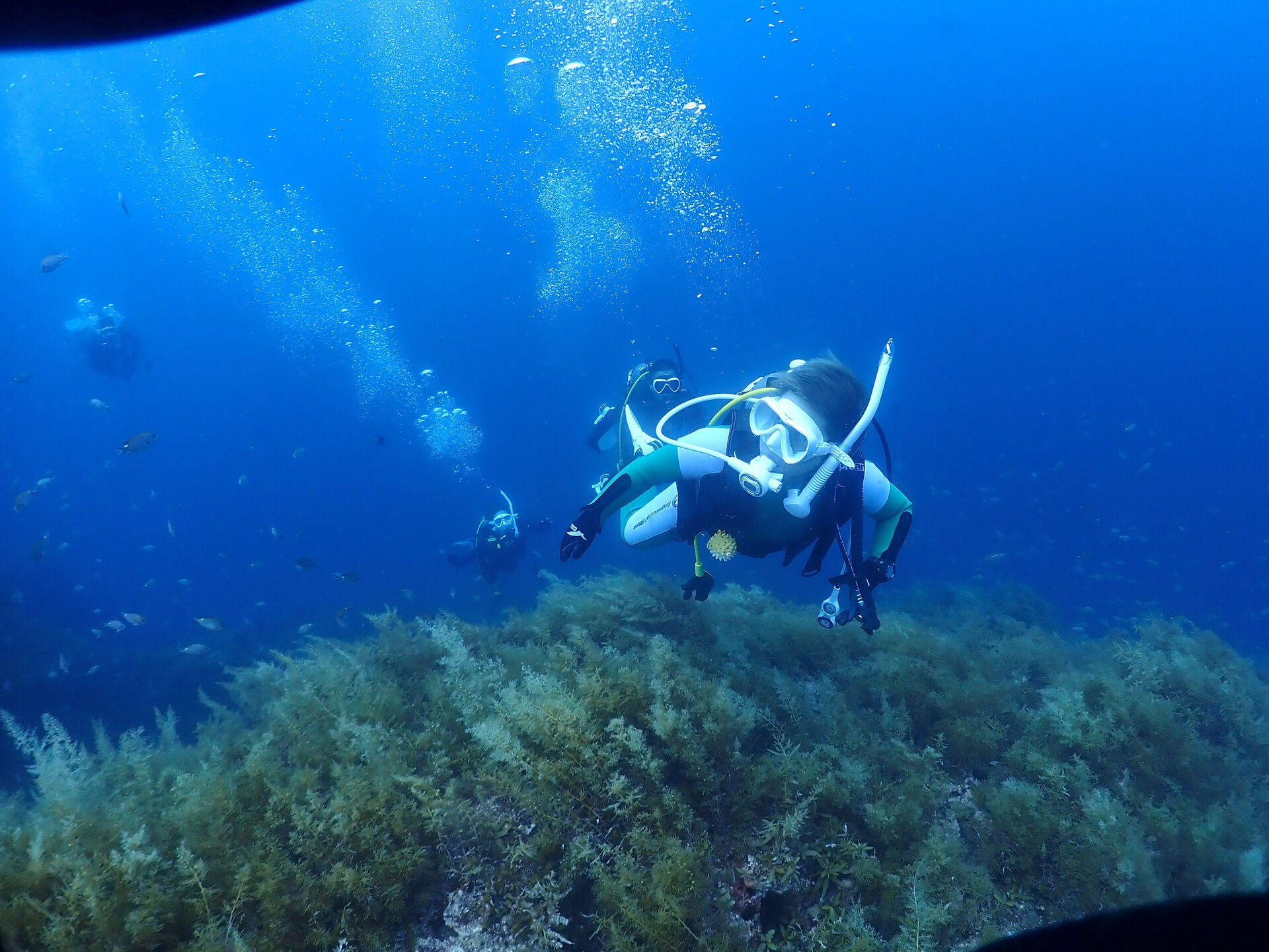 @rk.diving 