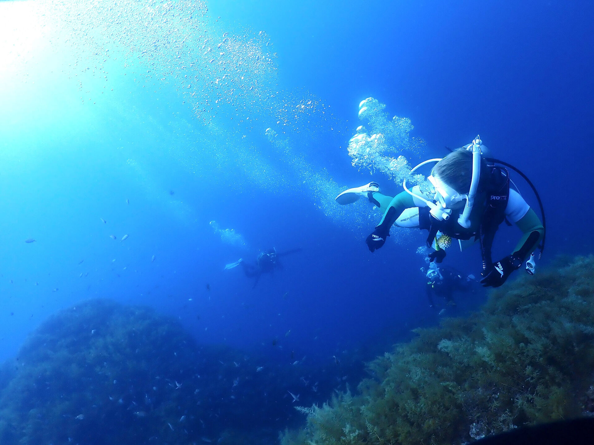 @rk.diving 