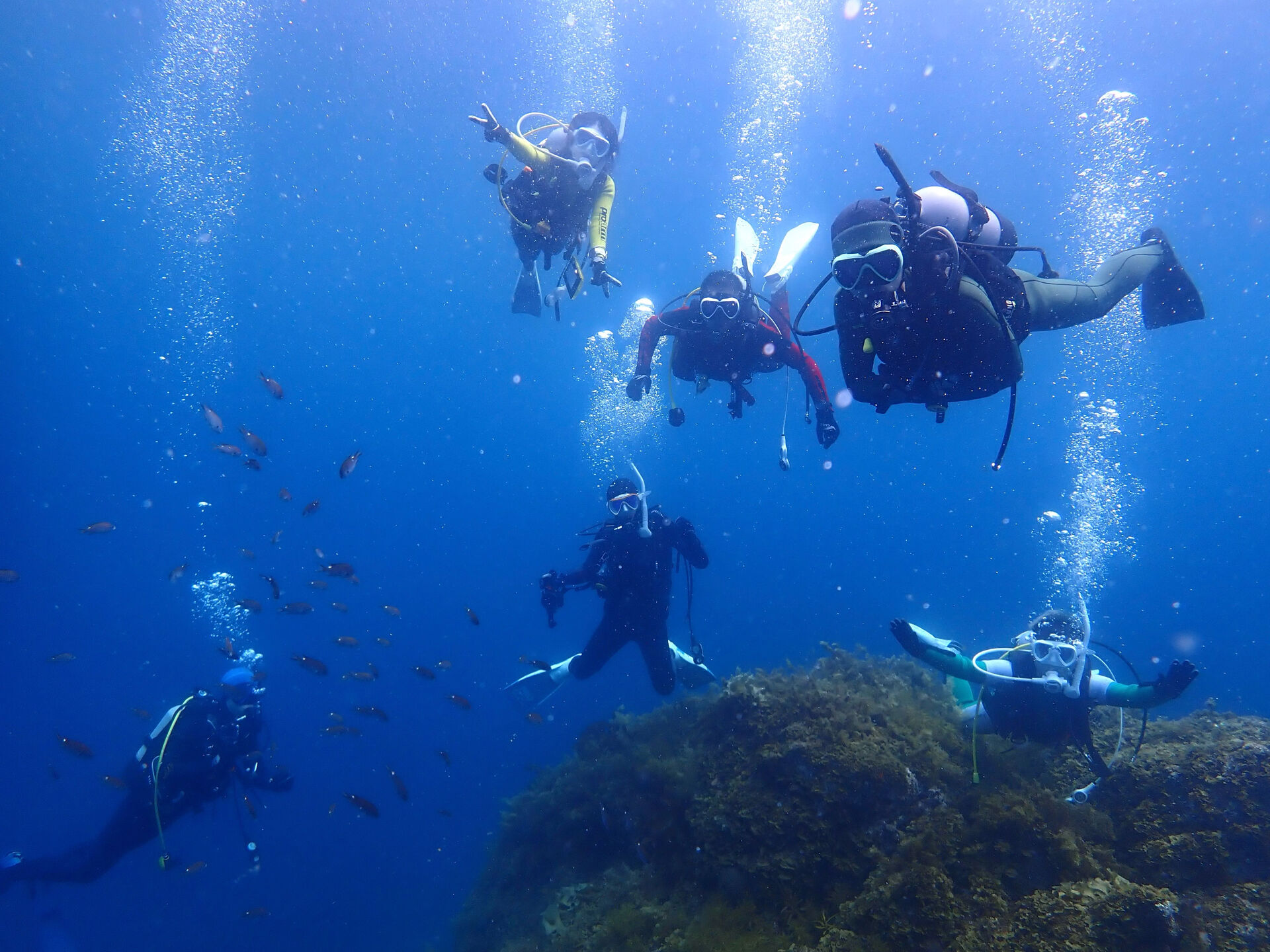 @rk.diving 