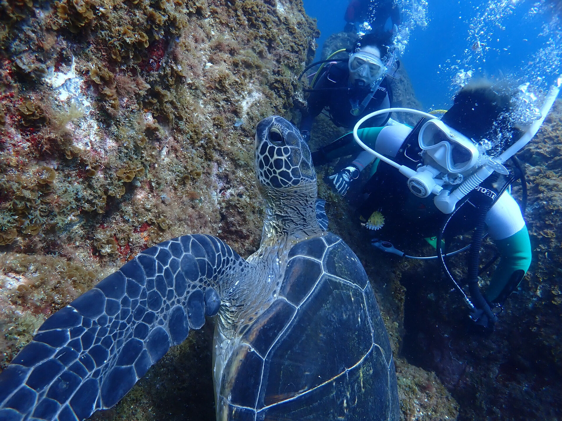 @rk.diving 