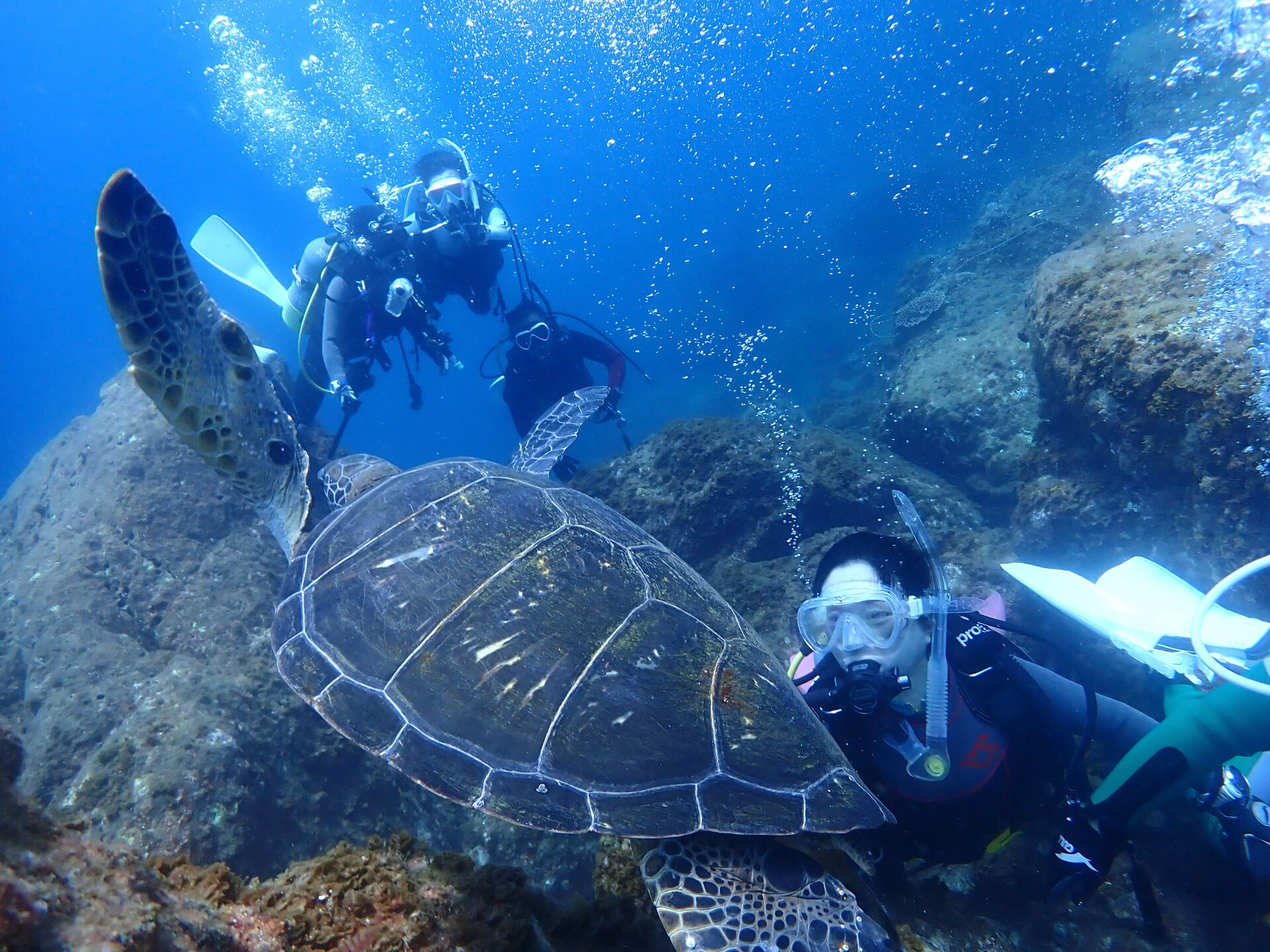 @rk.diving 