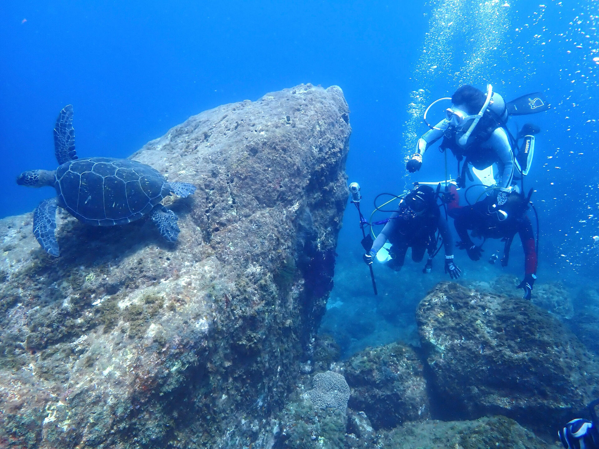 @rk.diving 