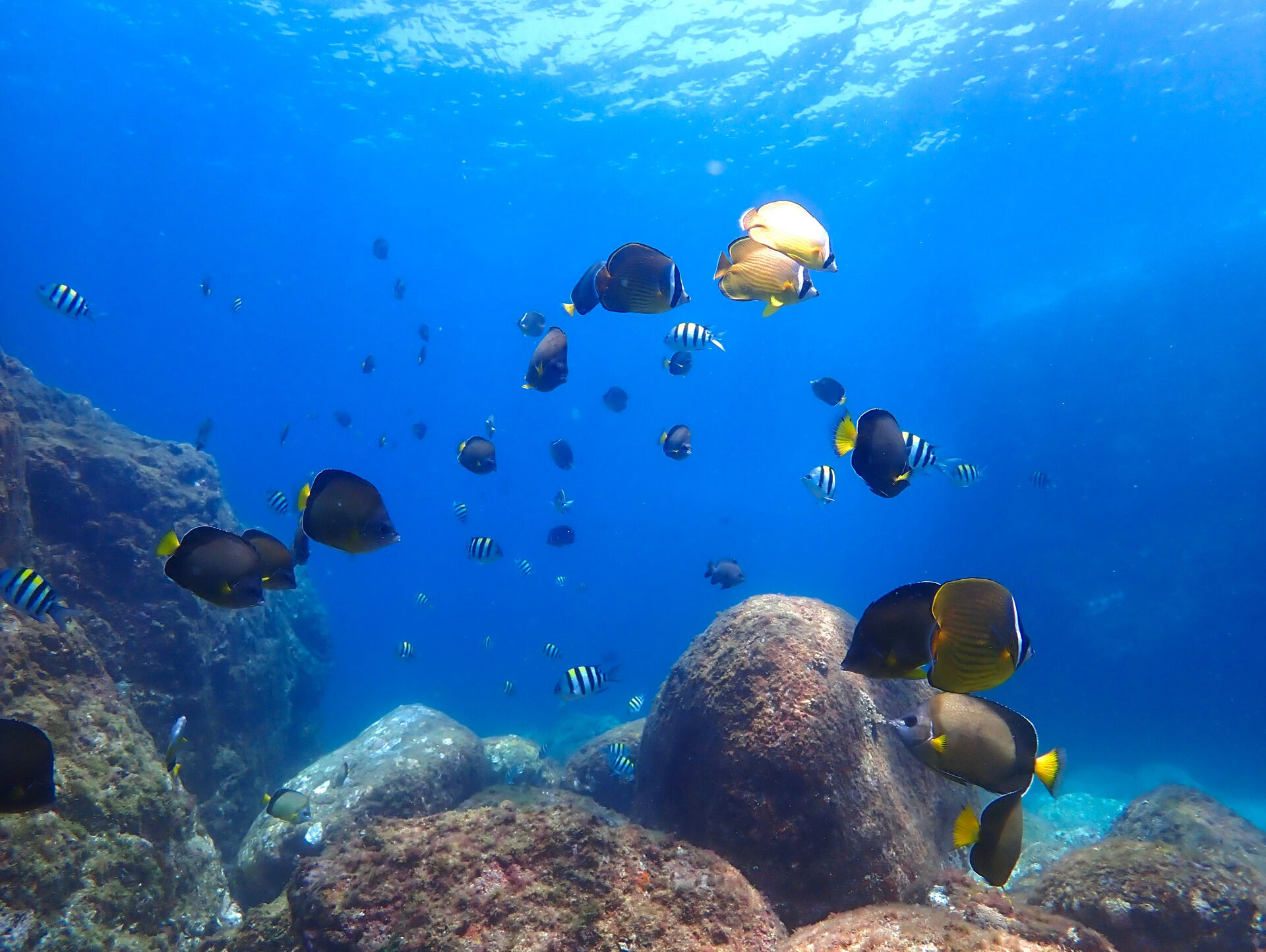 @rk.diving 