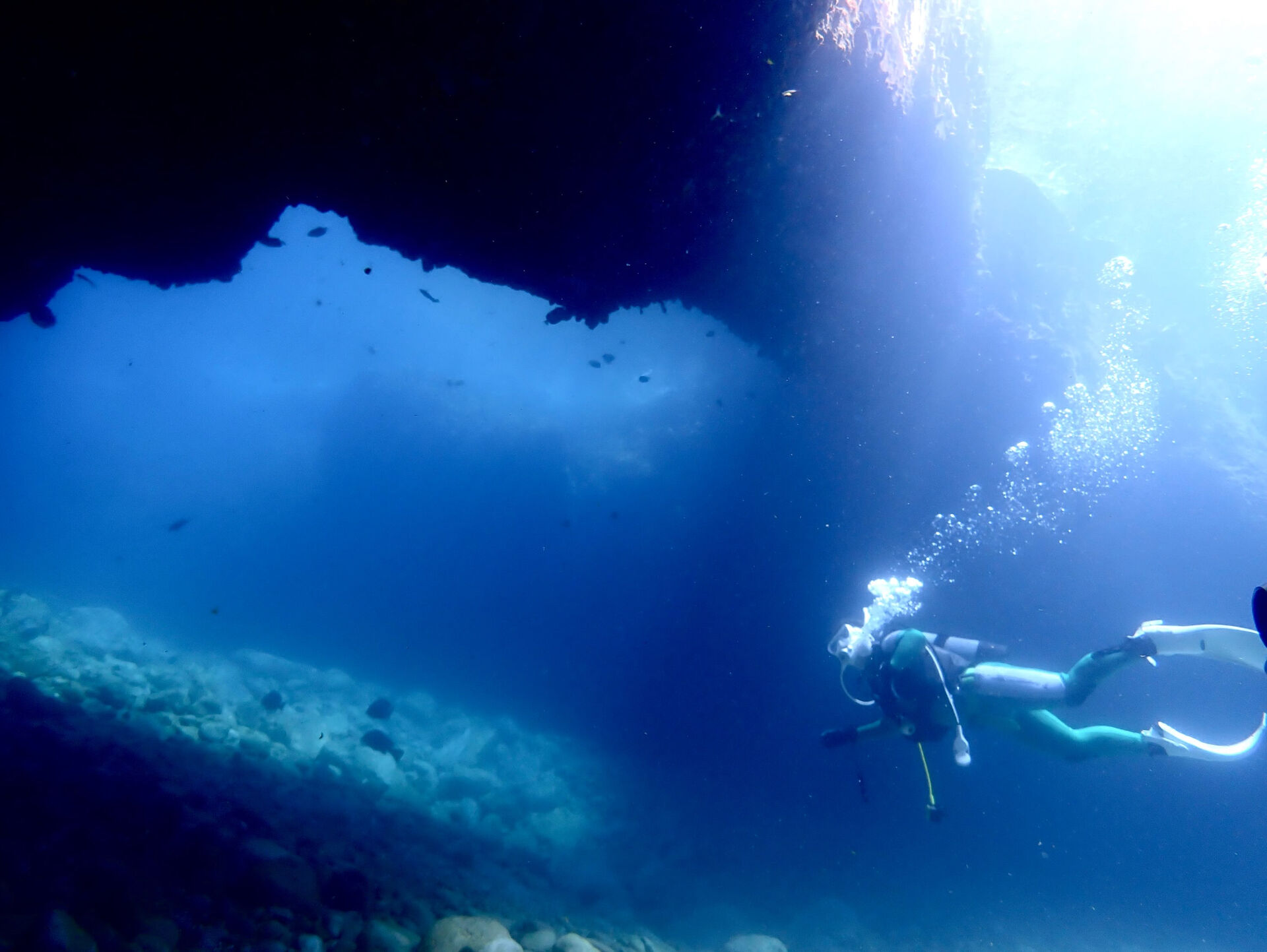 @rk.diving 