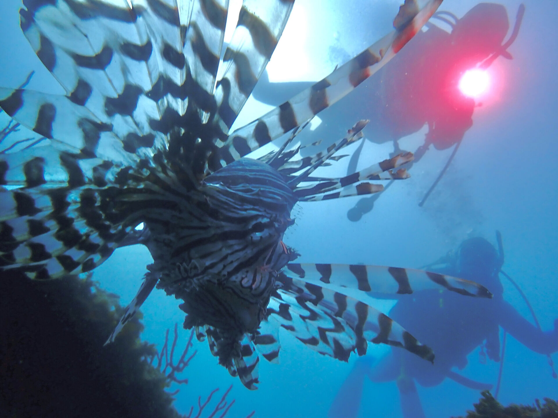 @rk.diving 