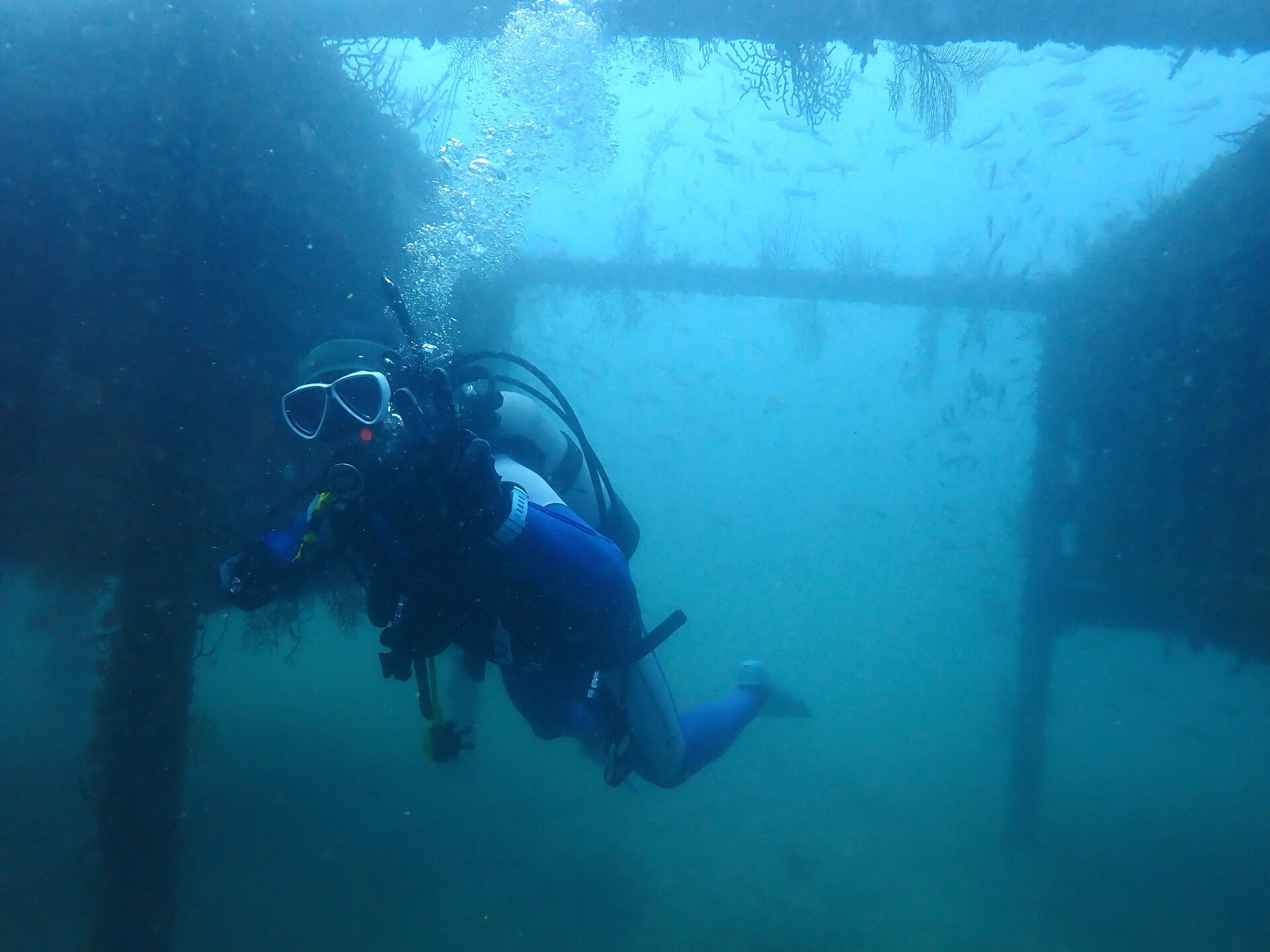 @rk.diving 